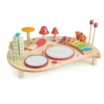 Masuta mea muzicala,Tender Leaf Toys