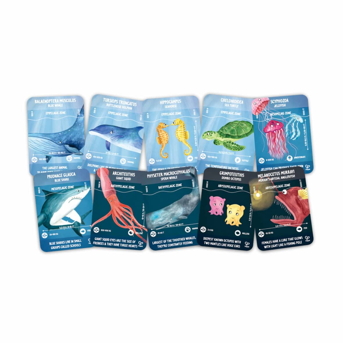 E1634-OCEAN-LIFE-cards-1