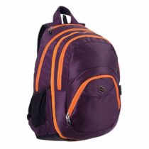 Rucsac 2 în 1 Violet
